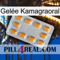 Gelée Kamagraoral cialis3